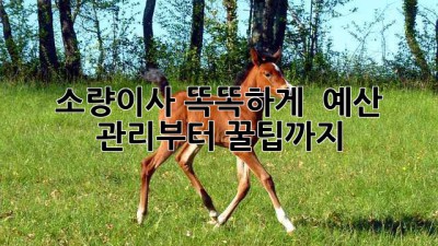 소량이사 똑똑하게! 💰 예산 관리부터 꿀팁까지 💯