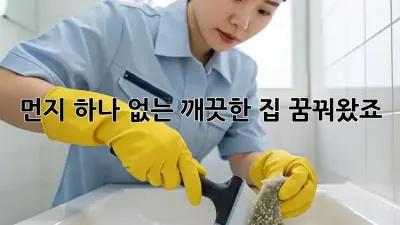 먼지 하나 없는 깨끗한 집, 꿈꿔왔죠? ✨
